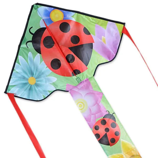 Easy Flyer Kites