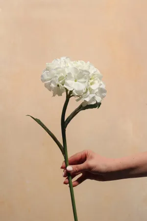 Faux Ivory Hydrangea Stem